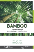 Bamboo